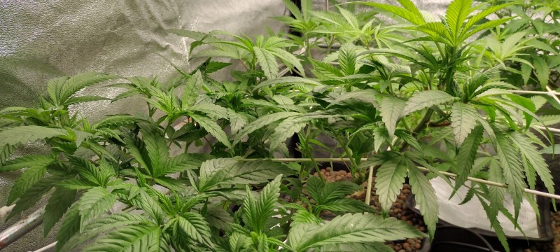 IMG_20221229_202613523_HDR