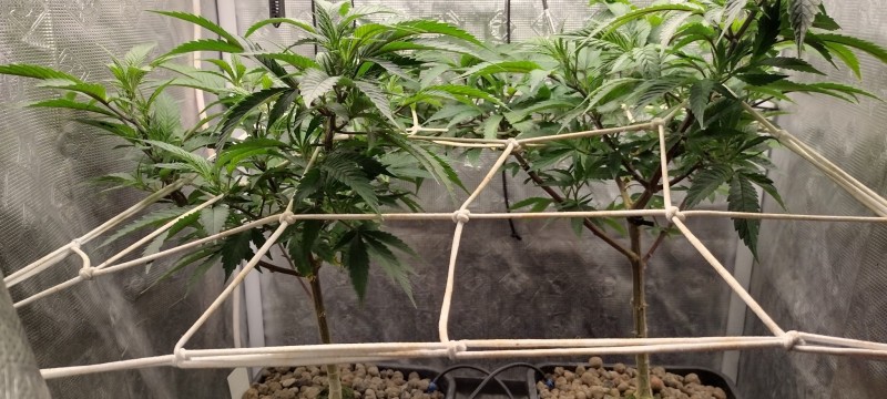 IMG_20230104_114453793_HDR