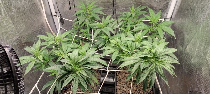 IMG_20230104_114440932_HDR