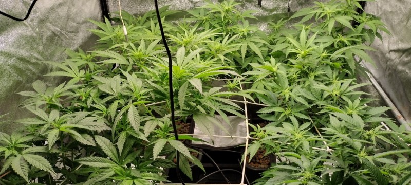 IMG_20230104_195450037_HDR