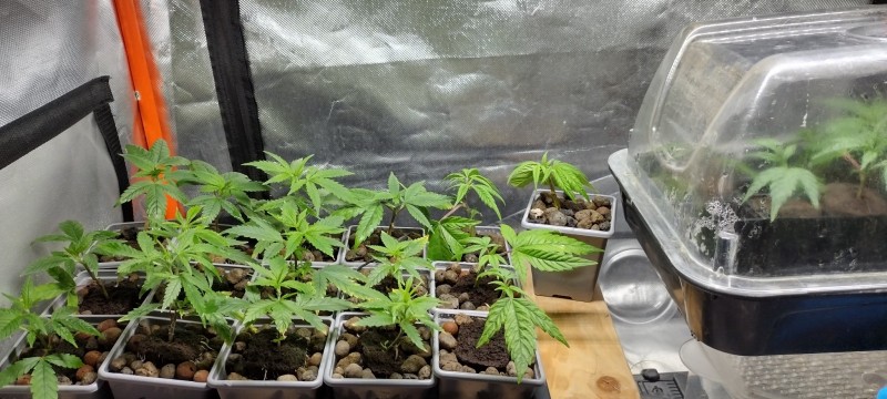 IMG_20230108_185131372_HDR