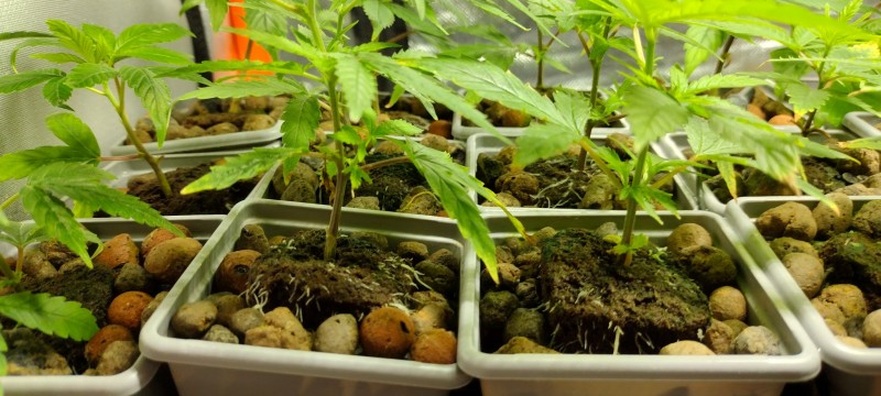 IMG_20230111_162532204