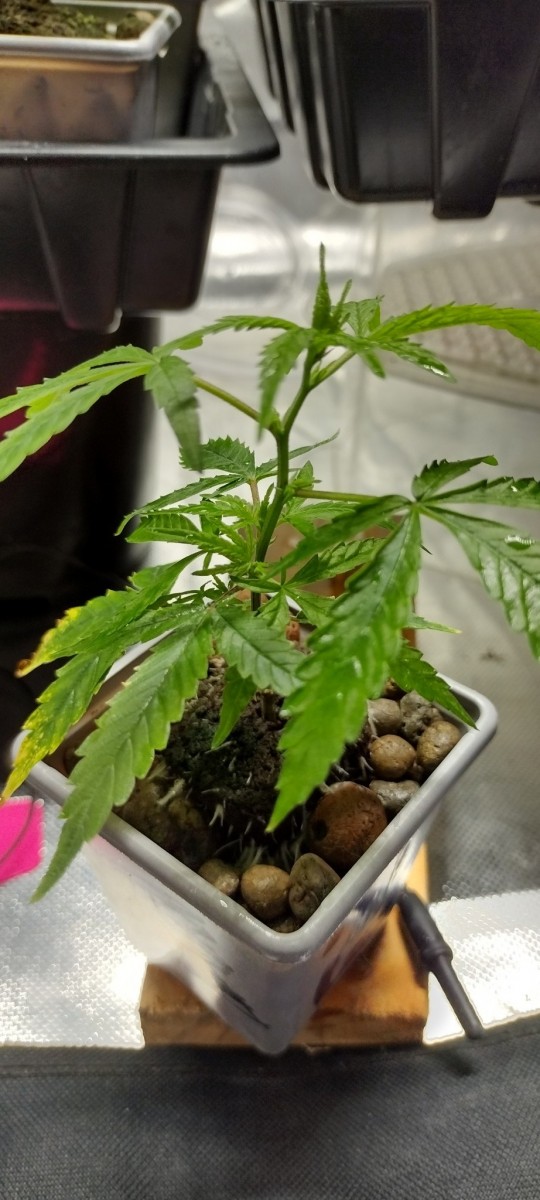 IMG_20230112_133626810_HDR