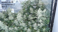 drobes 14 01 23 031