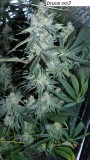 drobes 14 01 23 038