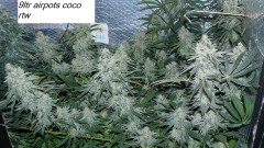 drobes 14 01 23 046