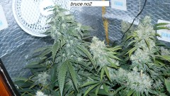 drobes 17 01 23 037