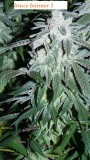 drobes 19 01 23 015