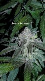 drobes 19 01 23 019
