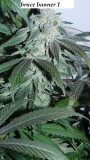 drobes 19 01 23 022