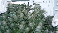 drobes 19 01 23 035