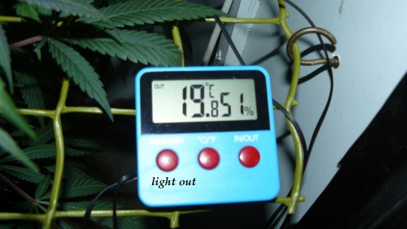 drobes 19 01 23 038