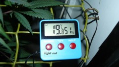 drobes 19 01 23 038