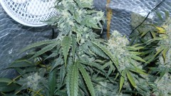 drobes 19 01 23 049