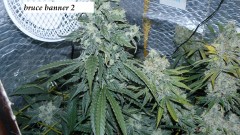 drobes 19 01 23 050