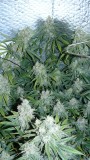 drobes 19 01 23 054