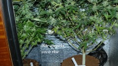 drobes 19 01 23 057