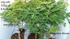 drobes 19 01 23 061