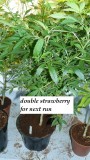 drobes 19 01 23 062
