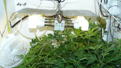drobes 19 01 23 066