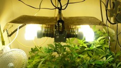 drobes 19 01 23 067