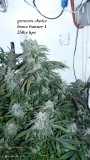 drobes 26 01 23 015