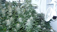 drobes 26 01 23 016