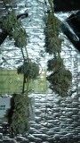 drobes 26 01 23 031