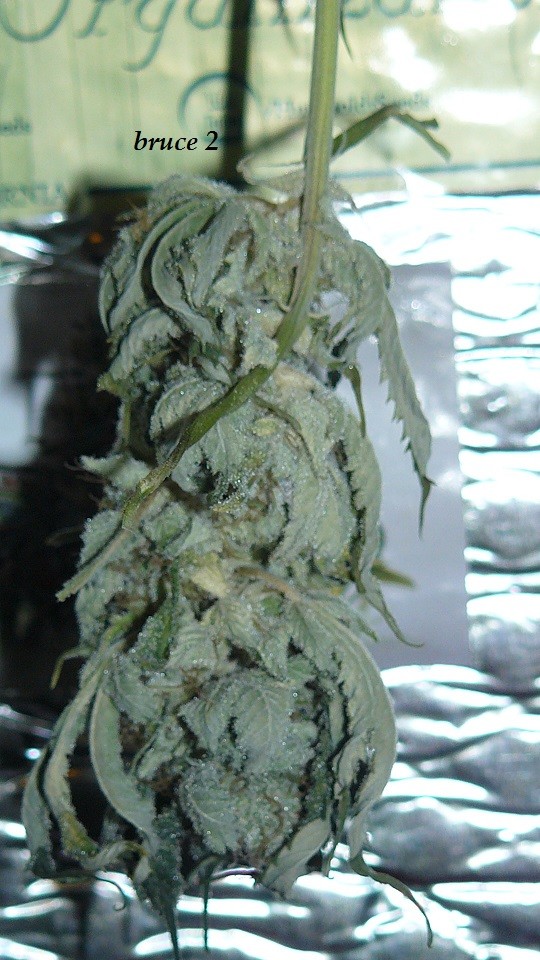 drobes 26 01 23 033