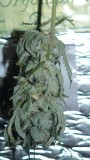 drobes 26 01 23 033