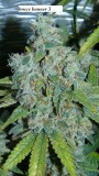 drobes 26 01 23 038
