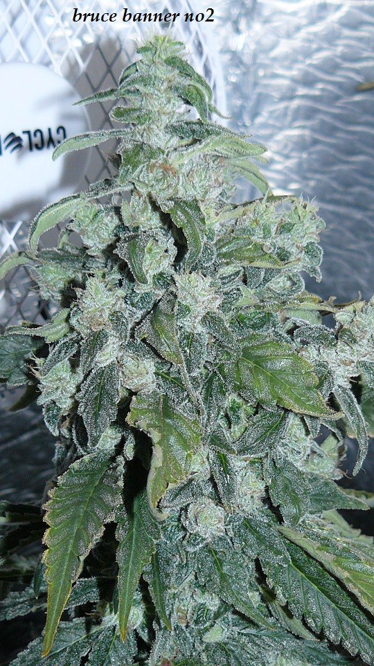 drobes 26 01 23 041