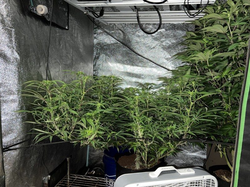 54A44596-D262-4243-9BB2-9655838BAB95