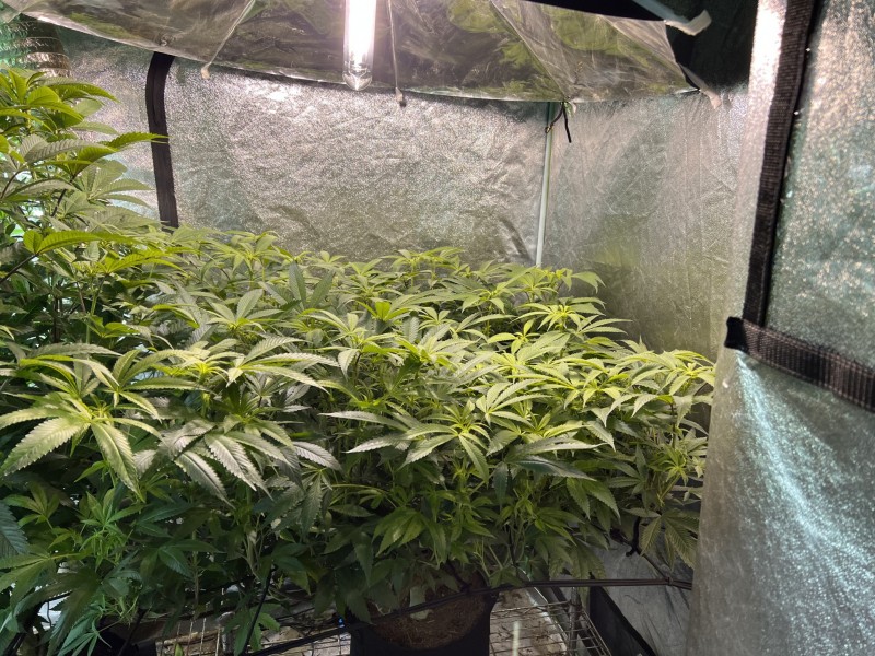 C845FA36-66FA-4469-83A6-DDA7815E7793