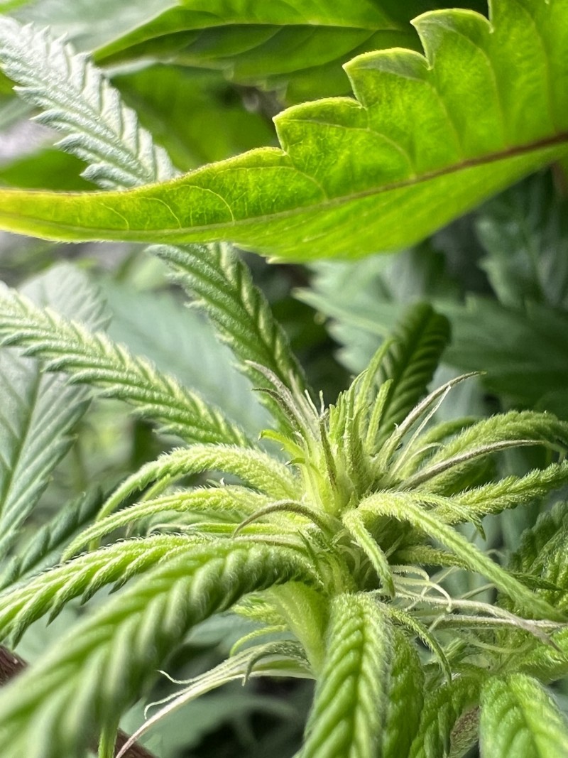 14B6806F-D4F8-4830-9563-3EC1D895D8F8