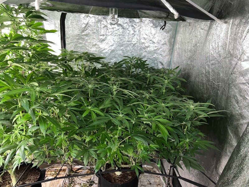 9F65829A-8563-4989-BAE8-ECC27DF54531