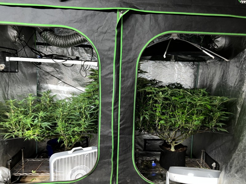 E9EEE76C-1833-4427-98AB-4D01A57CB403