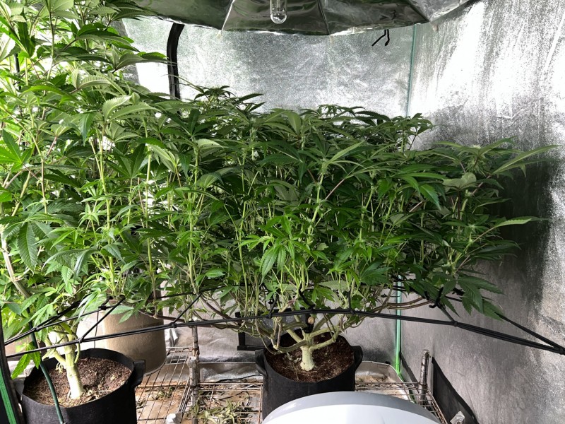 9A52B151-EDF8-480D-9517-3DA797660393