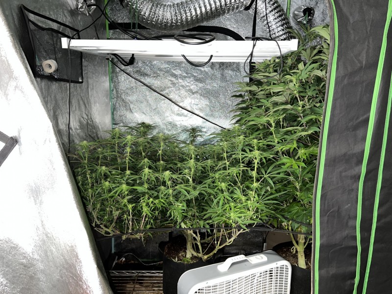 5EB15C78-4819-4E51-8224-A175386B73E2