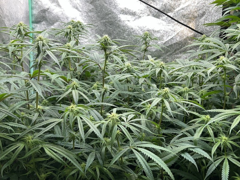 1F748968-3CD6-43E4-AF4B-BEC7B12ACC93